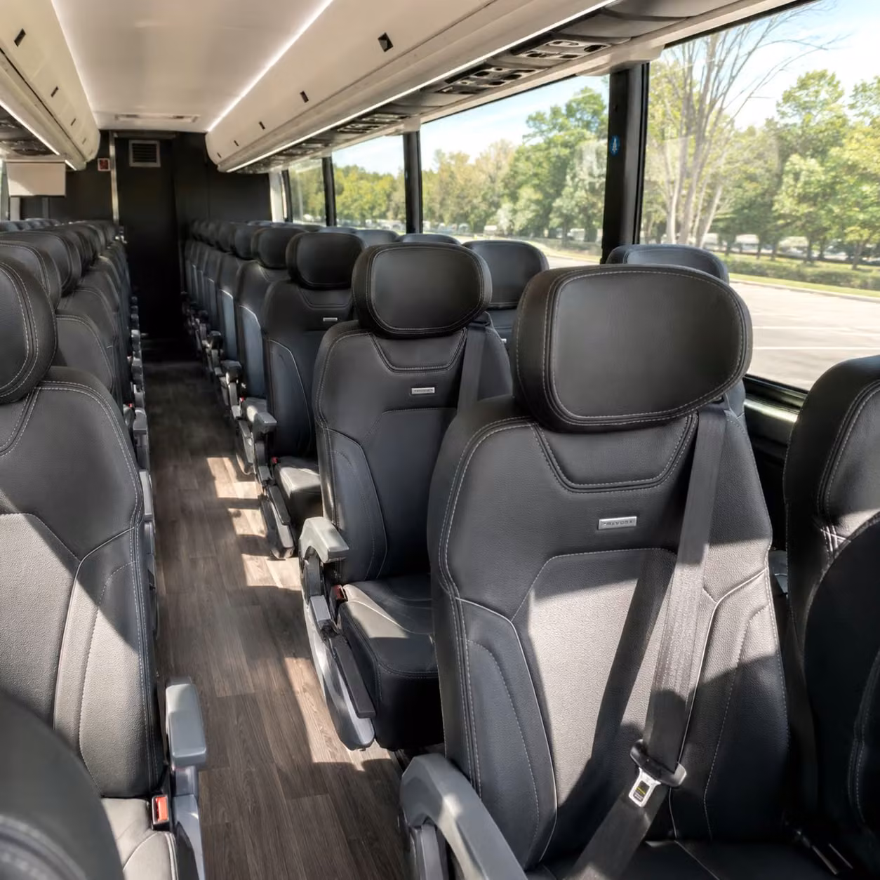 rio rancho charter bus rental interior